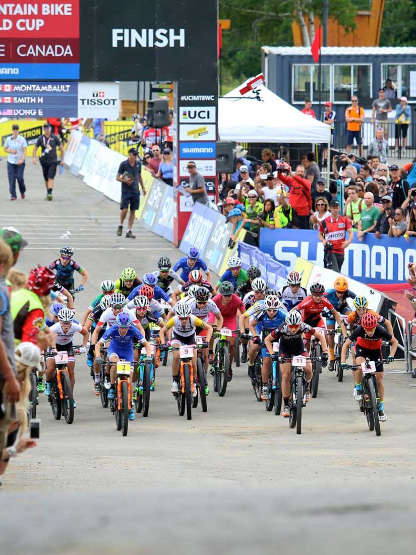 Arche d'Arrivée personnalisée