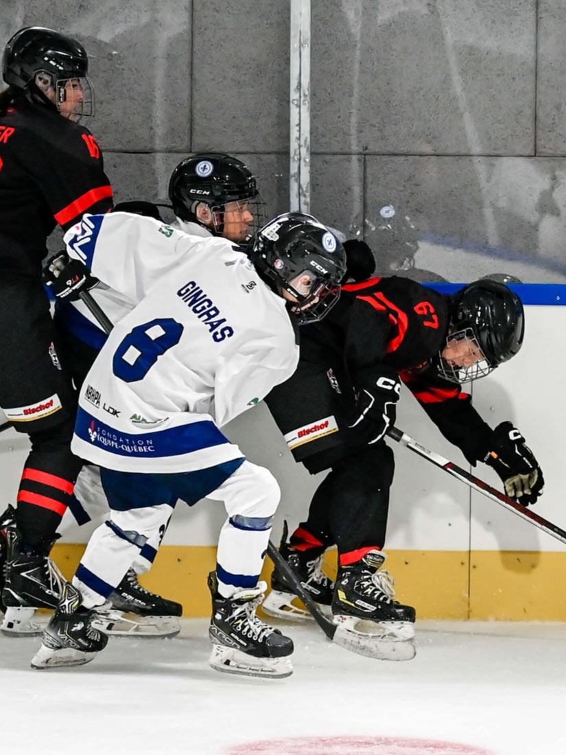 Hockey Sweater - adult