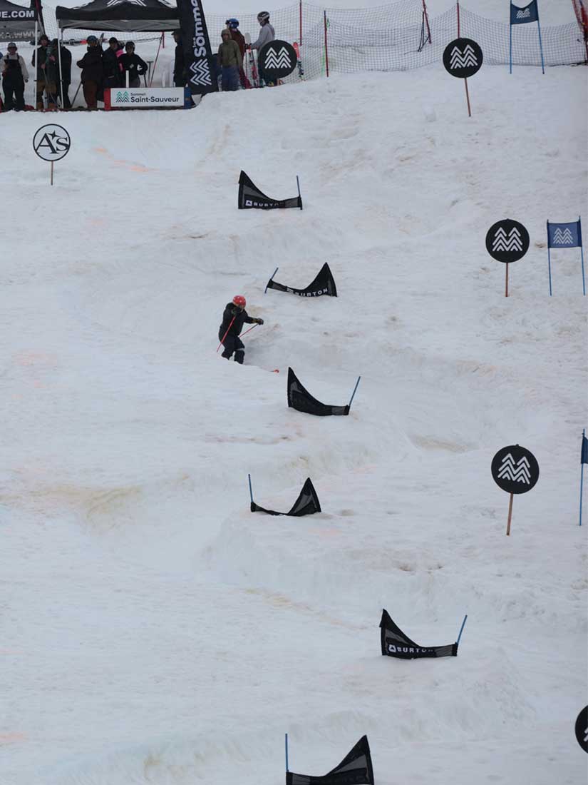 Fanion Snowboard FIS