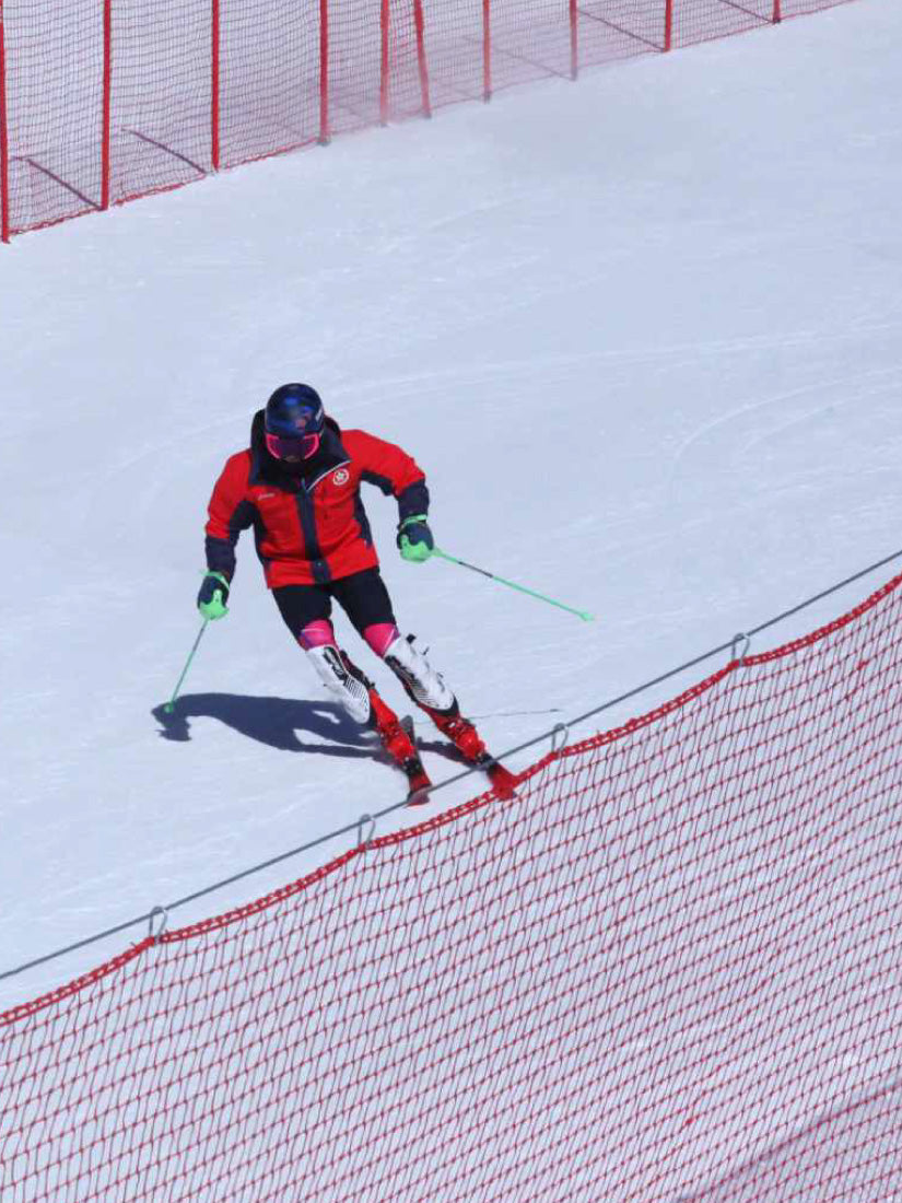 Filet type B (B-net)