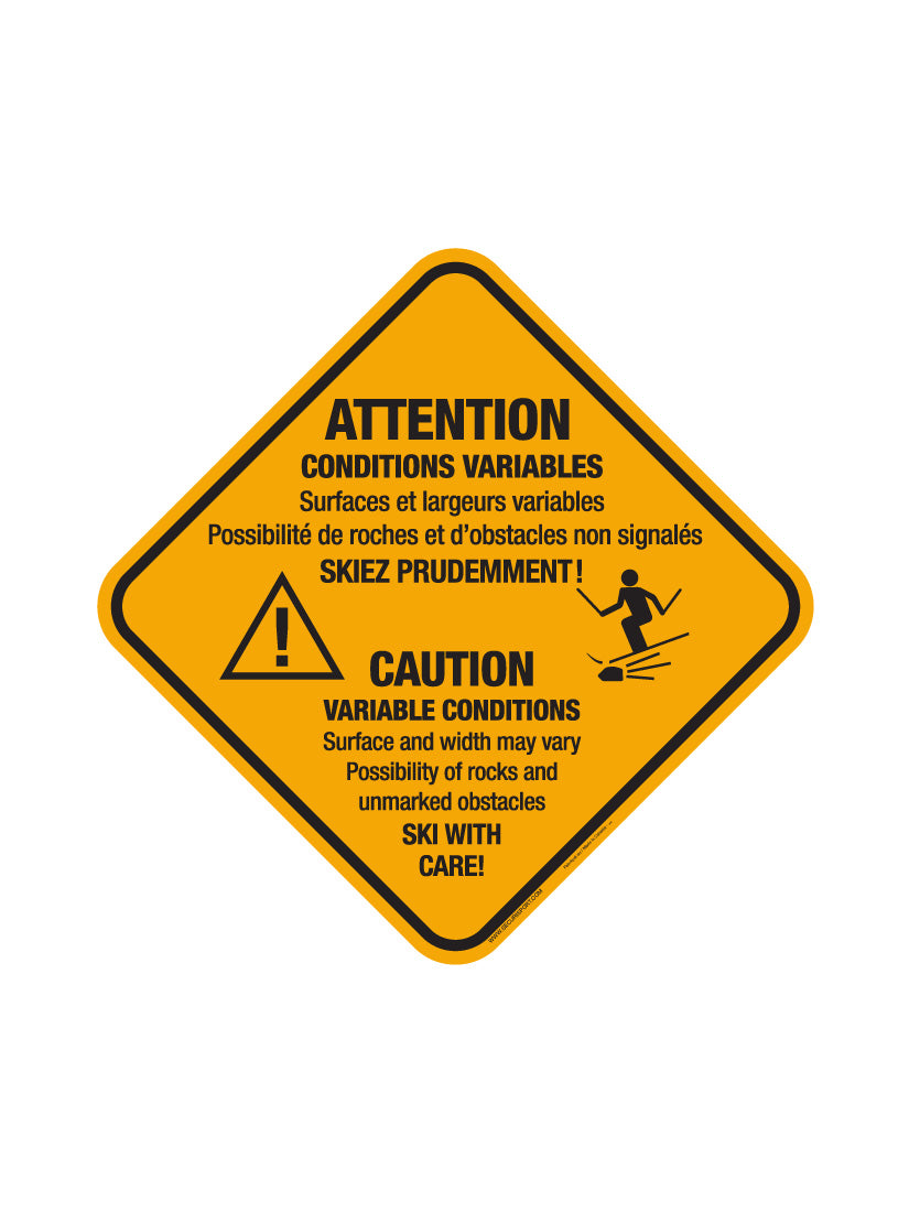 Panneau Conditions variables (+texte) #4006