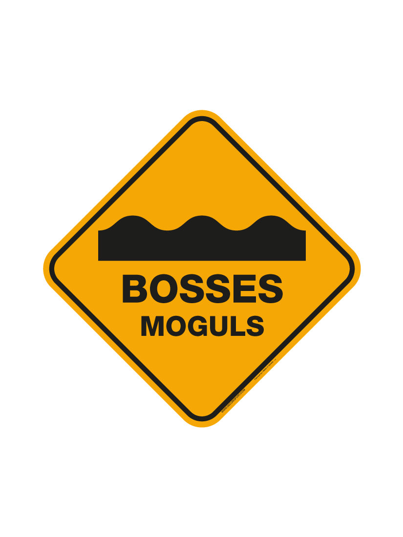 Panneau Bosses moguls #4036
