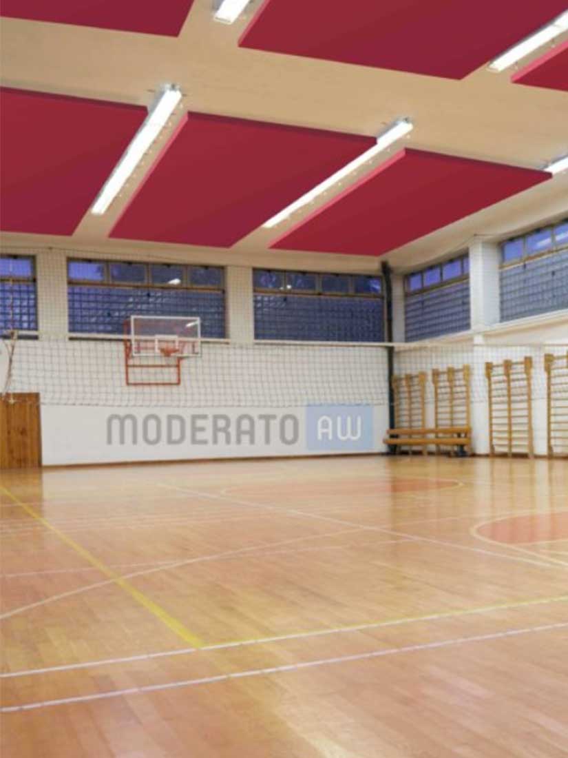 Protection Acoustique