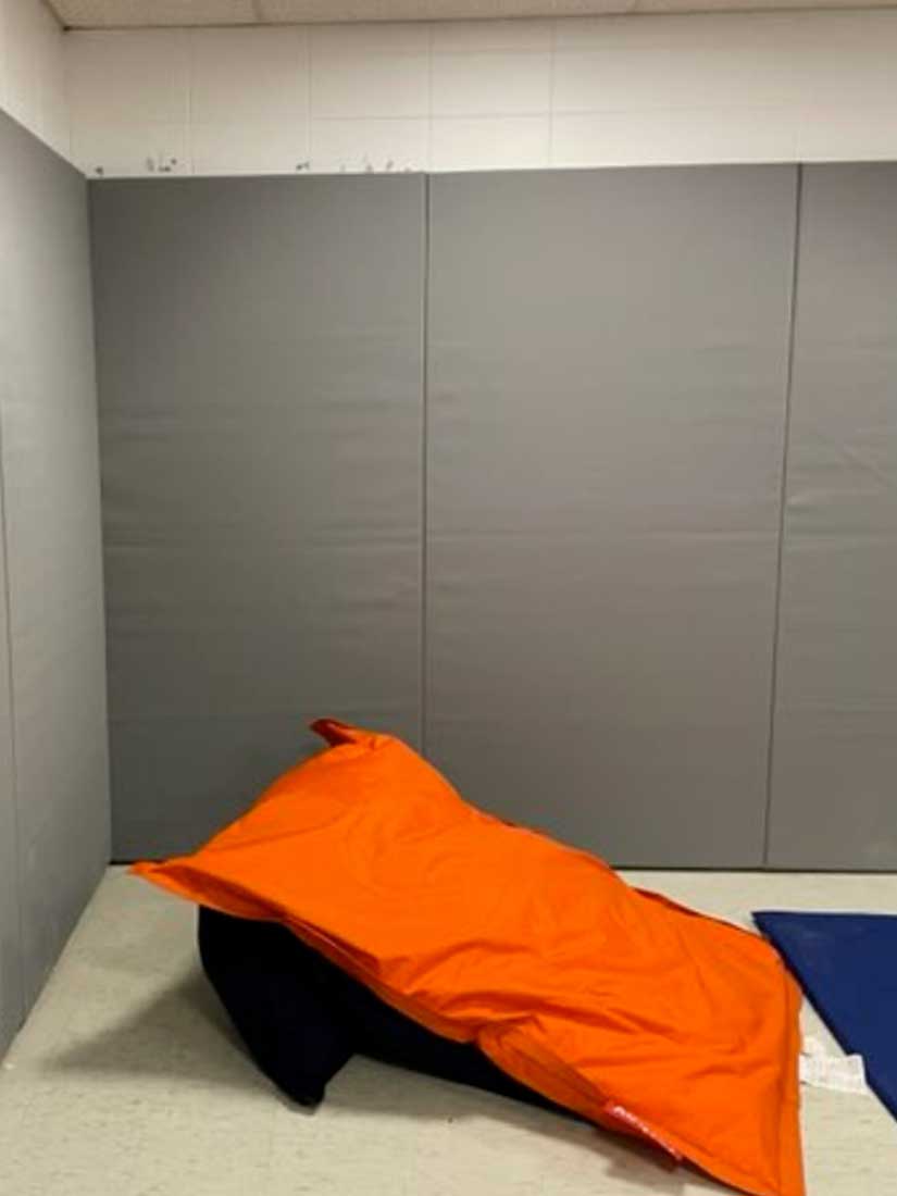 Mental health calming room