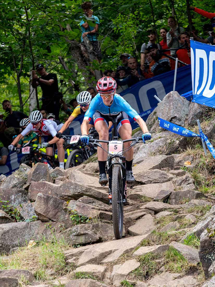 Plaque de vélo de montagne