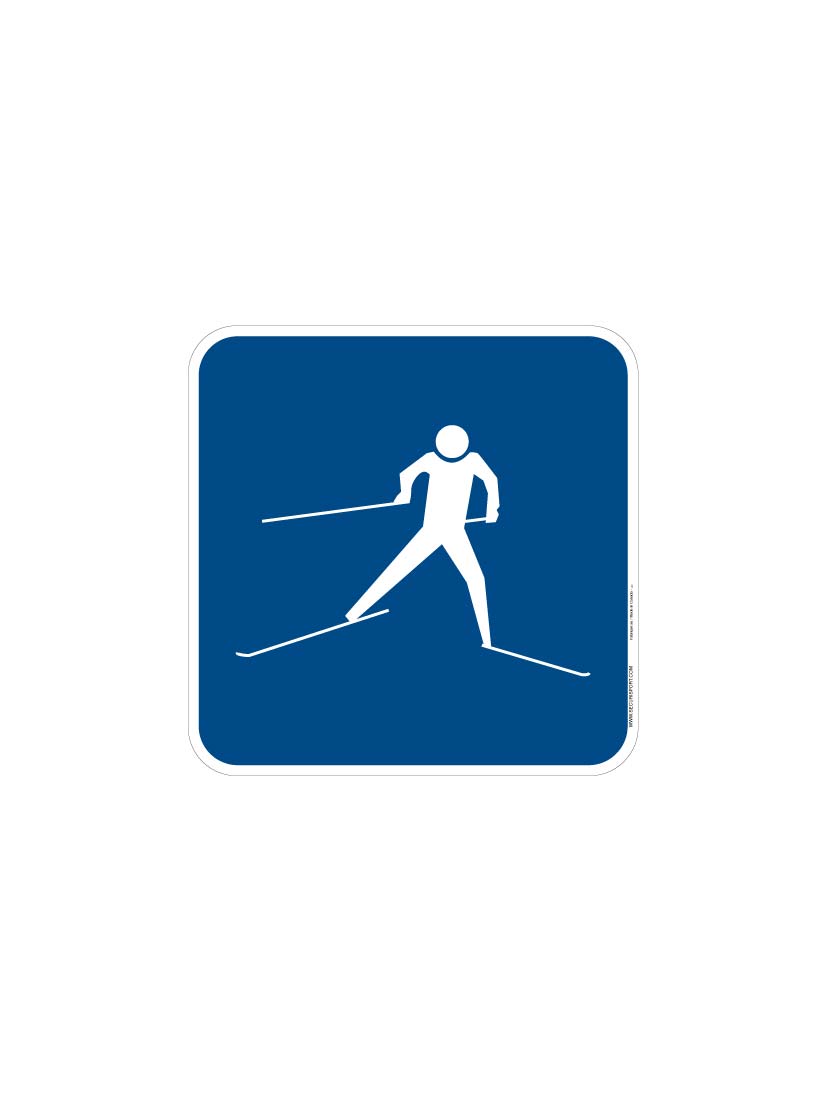 Skating Track Panel